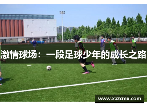 激情球场：一段足球少年的成长之路